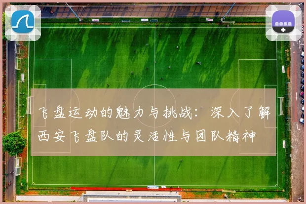 飞盘运动的魅力与挑战：深入了解西安飞盘队的灵活性与团队精神