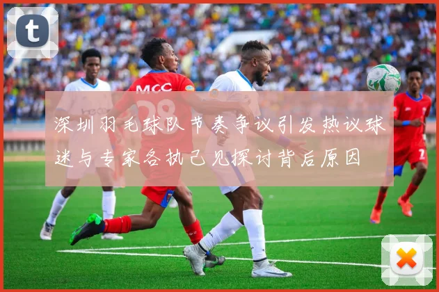 深圳羽毛球队节奏争议引发热议球迷与专家各执己见探讨背后原因